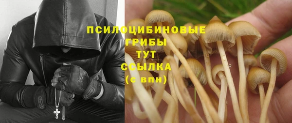 соль курить ск Алексин