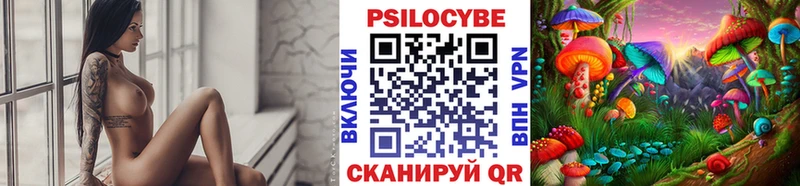 Псилоцибиновые грибы Psilocybe  Евпатория 