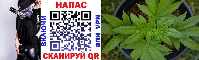 мега вход Евпатория Шишки марихуана Amnesia купить наркоту